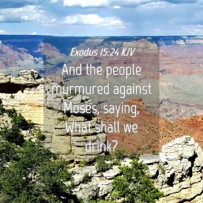 Picture 04 - Exodus 15:24 KJV - And the people murmured against Moses, saying, - Bible Verse Picture