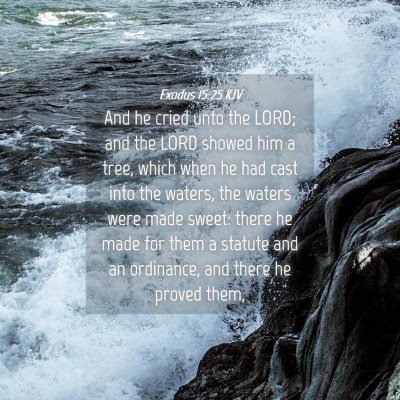 Picture 04 - Exodus 15:25 KJV - And he cried unto the LORD; and the LORD showed - Bible Verse Picture