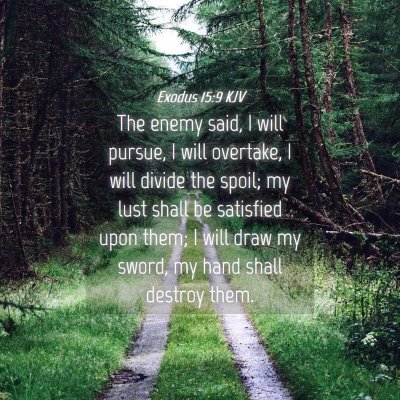 Picture 04 - Exodus 15:9 KJV - The enemy said, I will pursue, I will overtake, I - Bible Verse Picture