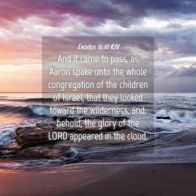 Picture 04 - Exodus 16:10 KJV - And it came to pass, as Aaron spake unto the - Bible Verse Picture