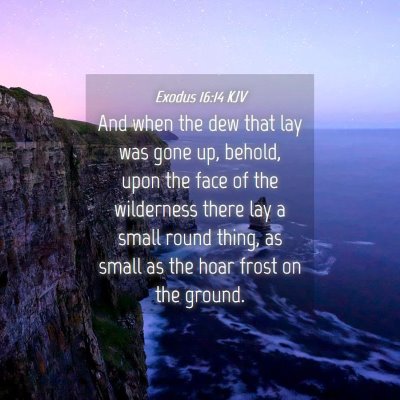 Picture 04 - Exodus 16:14 KJV - And when the dew that lay was gone up, behold, - Bible Verse Picture
