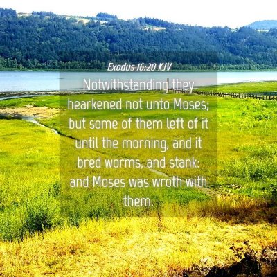 Picture 04 - Exodus 16:20 KJV - Notwithstanding they hearkened not unto Moses; - Bible Verse Picture