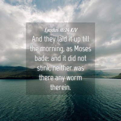 Picture 04 - Exodus 16:24 KJV - And they laid it up till the morning, as Moses - Bible Verse Picture