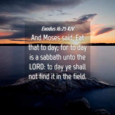Picture 04 - Exodus 16:25 KJV - And Moses said, Eat that to day; for to day is a - Bible Verse Picture