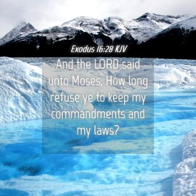 Picture 04 - Exodus 16:28 KJV - And the LORD said unto Moses, How long refuse ye - Bible Verse Picture