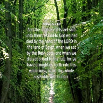 Picture 04 - Exodus 16:3 KJV - And the children of Israel said unto them, Would - Bible Verse Picture