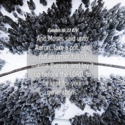 Picture 04 - Exodus 16:33 KJV - And Moses said unto Aaron, Take a pot, and put an - Bible Verse Picture