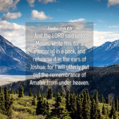 Picture 04 - Exodus 17:14 KJV - And the LORD said unto Moses, Write this for a - Bible Verse Picture