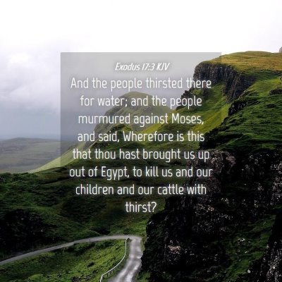 Picture 04 - Exodus 17:3 KJV - And the people thirsted there for water; and the - Bible Verse Picture