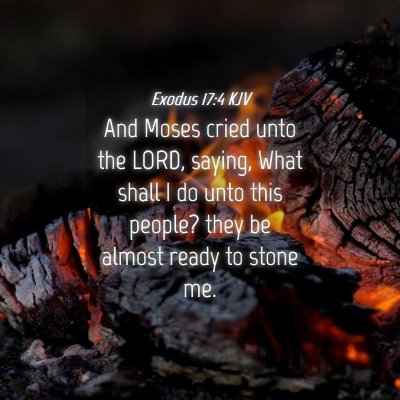 Picture 04 - Exodus 17:4 KJV - And Moses cried unto the LORD, saying, What shall - Bible Verse Picture