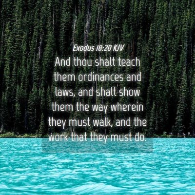 Picture 04 - Exodus 18:20 KJV - And thou shalt teach them ordinances and laws, - Bible Verse Picture
