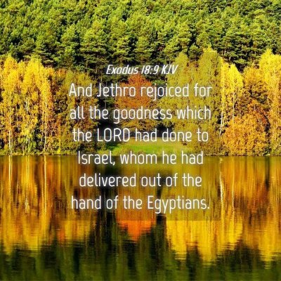 Picture 04 - Exodus 18:9 KJV - And Jethro rejoiced for all the goodness which - Bible Verse Picture
