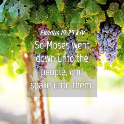 Picture 04 - Exodus 19:25 KJV - So Moses went down unto the people, and spake - Bible Verse Picture