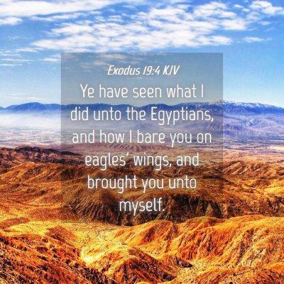 Picture 04 - Exodus 19:4 KJV - Ye have seen what I did unto the Egyptians, and - Bible Verse Picture