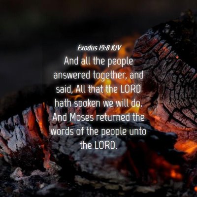 Picture 04 - Exodus 19:8 KJV - And all the people answered together, and said, - Bible Verse Picture