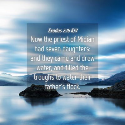 Picture 04 - Exodus 2:16 KJV - Now the priest of Midian had seven daughters: and - Bible Verse Picture