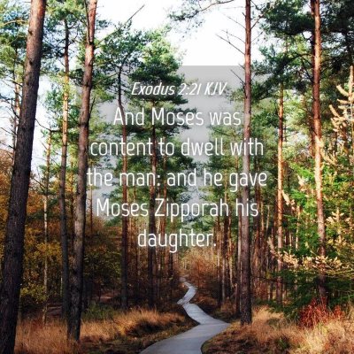 Picture 04 - Exodus 2:21 KJV - And Moses was content to dwell with the man: and - Bible Verse Picture