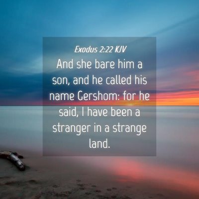 Picture 04 - Exodus 2:22 KJV - And she bare him a son, and he called his name - Bible Verse Picture