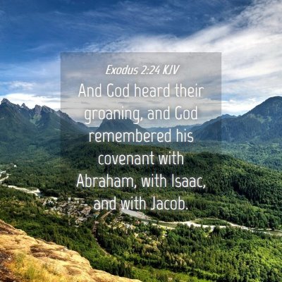 Picture 04 - Exodus 2:24 KJV - And God heard their groaning, and God remembered - Bible Verse Picture