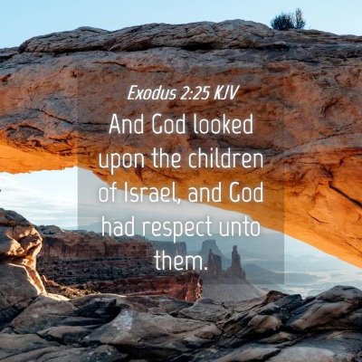 Picture 04 - Exodus 2:25 KJV - And God looked upon the children of Israel, and - Bible Verse Picture