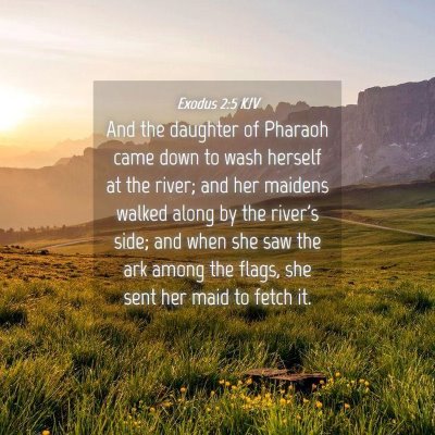 Picture 04 - Exodus 2:5 KJV - And the daughter of Pharaoh came down to wash - Bible Verse Picture