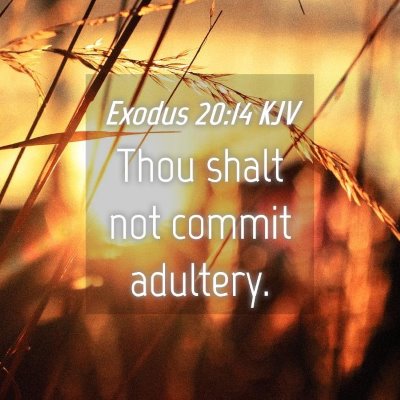 Picture 04 - Exodus 20:14 KJV - Thou shalt not commit - Bible Verse Picture
