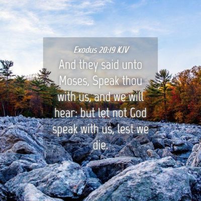 Picture 04 - Exodus 20:19 KJV - And they said unto Moses, Speak thou with us, and - Bible Verse Picture