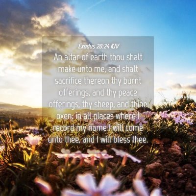 Picture 04 - Exodus 20:24 KJV - An altar of earth thou shalt make unto me, and - Bible Verse Picture
