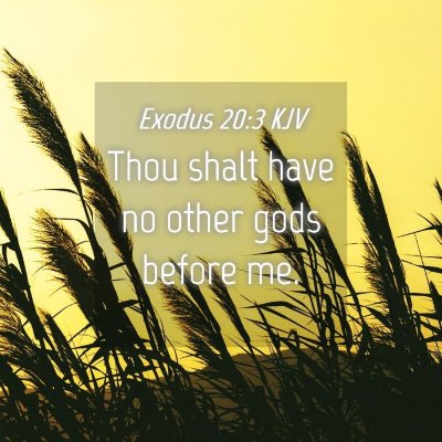 Picture 04 - Exodus 20:3 KJV - Thou shalt have no other gods before - Bible Verse Picture
