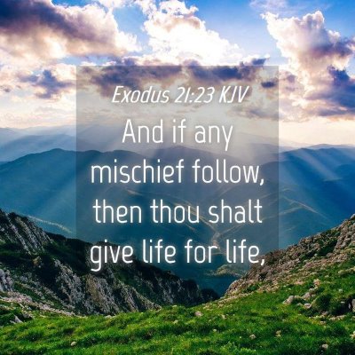Picture 04 - Exodus 21:23 KJV - And if any mischief follow, then thou shalt give - Bible Verse Picture
