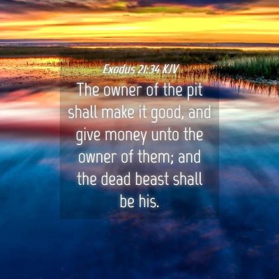 Picture 04 - Exodus 21:34 KJV - The owner of the pit shall make it good, and give - Bible Verse Picture