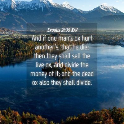 Picture 04 - Exodus 21:35 KJV - And if one man's ox hurt another's, that he die; - Bible Verse Picture