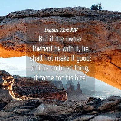 Picture 04 - Exodus 22:15 KJV - But if the owner thereof be with it, he shall not - Bible Verse Picture