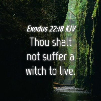 Picture 04 - Exodus 22:18 KJV - Thou shalt not suffer a witch to - Bible Verse Picture