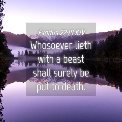 Picture 04 - Exodus 22:19 KJV - Whosoever lieth with a beast shall surely be put - Bible Verse Picture
