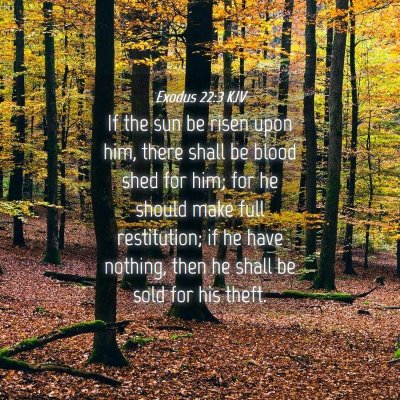 Picture 04 - Exodus 22:3 KJV - If the sun be risen upon him, there shall be - Bible Verse Picture