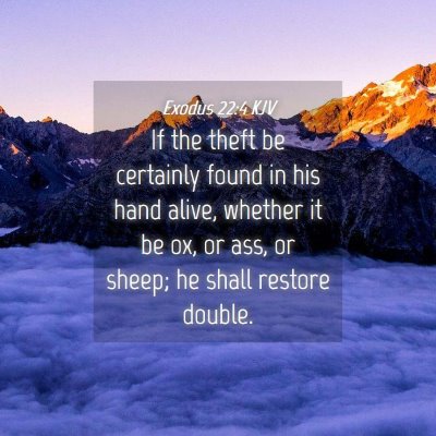 Picture 04 - Exodus 22:4 KJV - If the theft be certainly found in his hand - Bible Verse Picture