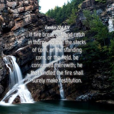 Picture 04 - Exodus 22:6 KJV - If fire break out, and catch in thorns, so that - Bible Verse Picture