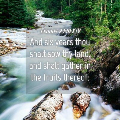 Picture 04 - Exodus 23:10 KJV - And six years thou shalt sow thy land, and shalt - Bible Verse Picture