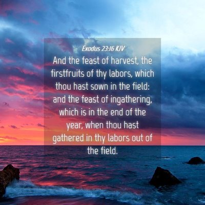 Picture 04 - Exodus 23:16 KJV - And the feast of harvest, the firstfruits of thy - Bible Verse Picture
