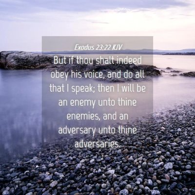 Picture 04 - Exodus 23:22 KJV - But if thou shalt indeed obey his voice, and do - Bible Verse Picture