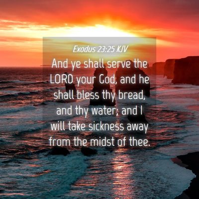 Picture 04 - Exodus 23:25 KJV - And ye shall serve the LORD your God, and he - Bible Verse Picture