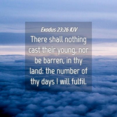 Picture 04 - Exodus 23:26 KJV - There shall nothing cast their young, nor be - Bible Verse Picture