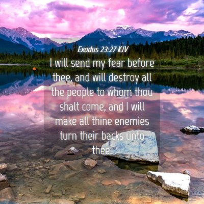 Picture 04 - Exodus 23:27 KJV - I will send my fear before thee, and will destroy - Bible Verse Picture