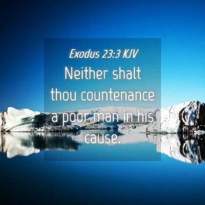 Picture 04 - Exodus 23:3 KJV - Neither shalt thou countenance a poor man in his - Bible Verse Picture