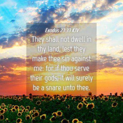 Picture 04 - Exodus 23:33 KJV - They shall not dwell in thy land, lest they make - Bible Verse Picture