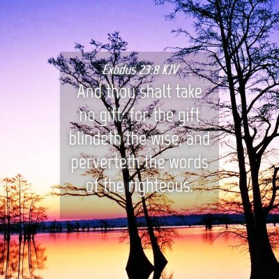 Picture 04 - Exodus 23:8 KJV - And thou shalt take no gift: for the gift - Bible Verse Picture
