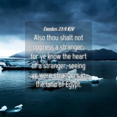 Picture 04 - Exodus 23:9 KJV - Also thou shalt not oppress a stranger: for ye - Bible Verse Picture