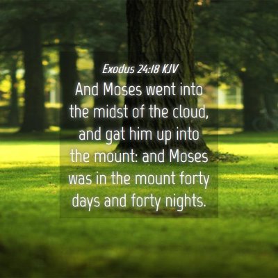 Picture 04 - Exodus 24:18 KJV - And Moses went into the midst of the cloud, and - Bible Verse Picture