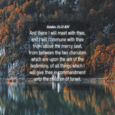 Picture 04 - Exodus 25:22 KJV - And there I will meet with thee, and I will - Bible Verse Picture